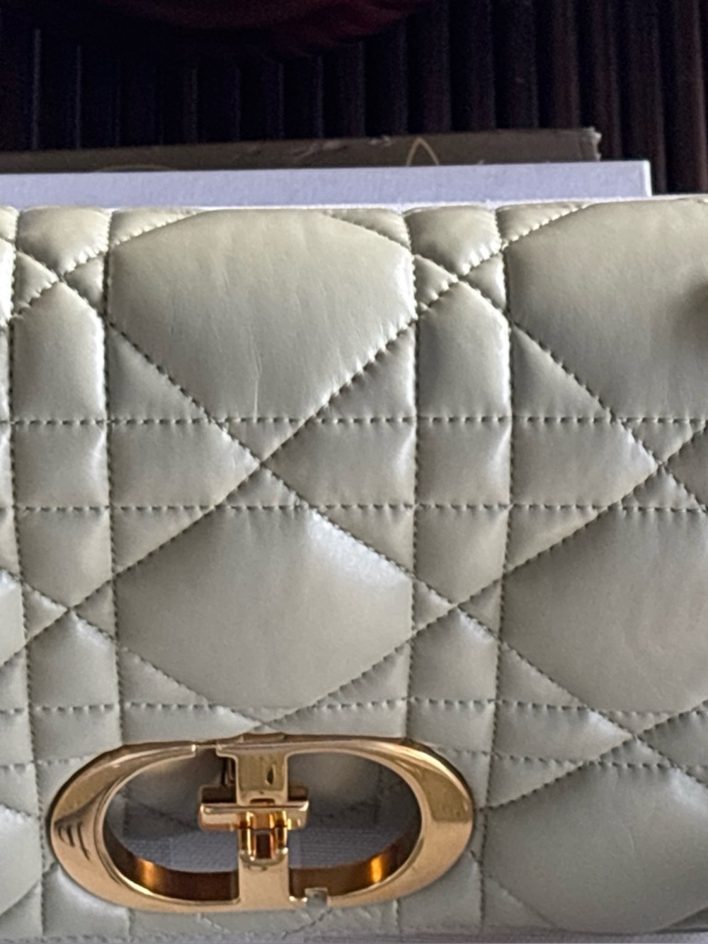 Dior Quilted Crossbody medium Bag in Sage Green with Gold CD Accent - Picture 7 of 13